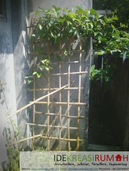 Ide Anyaman Bambu Untuk Tanaman Rambat