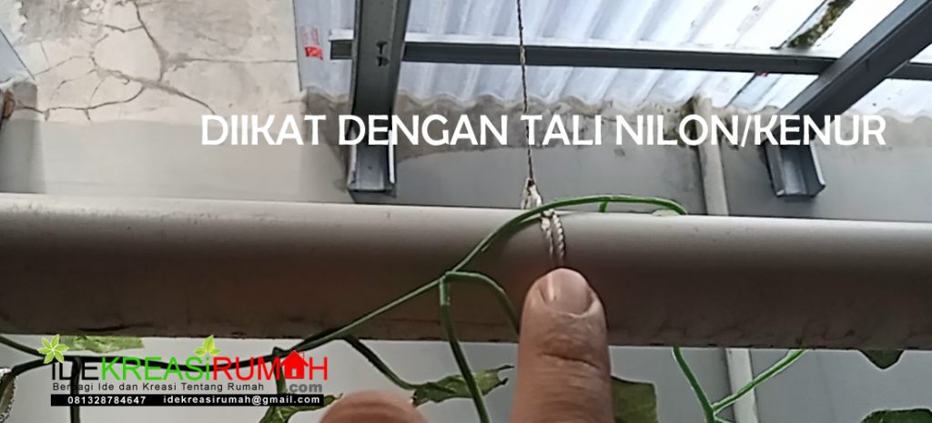 ikatan tali nilon pada pipa bekas